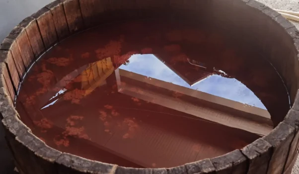 Visita dell’Azienda Tiberi a Loro Piceno