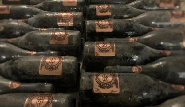 -52 Champagne Cloe Marie Kottakis