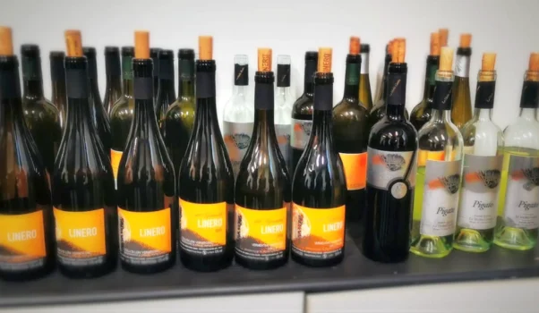 Il vino come espressione d’arte e la maestria dei prodotti DOP della Liguria