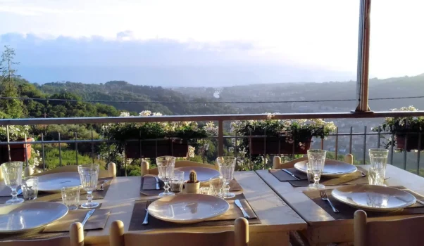 Bricco della Gallina