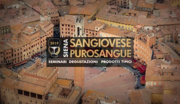 Sangiovese Purosangue 2019