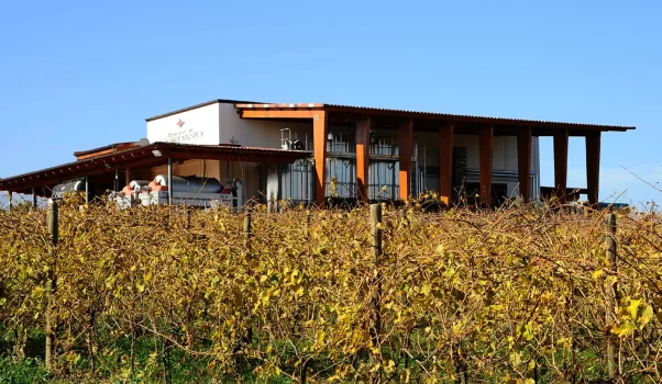 A MWF Cantina Marchesi De’ Cordano di Loreto Aprutino