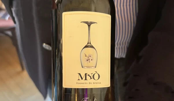 Storie di famiglia a MWF26: Lungarotti e Zorzettig