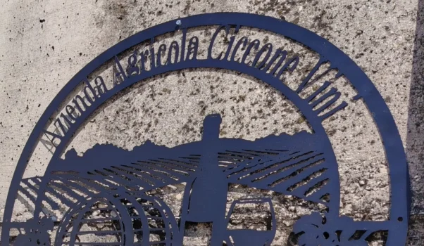 Montonico, antico vitigno abruzzese di montagna