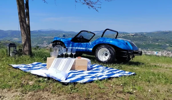 Root Winery: innovazione, arte e leggerezza nel cuore dei Castelli di Jesi