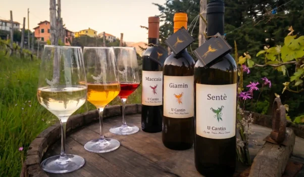 Agriturismo ‘Da Ü Cantin’