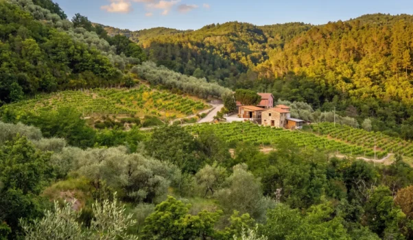 Azienda Agricola Casa del Diavolo