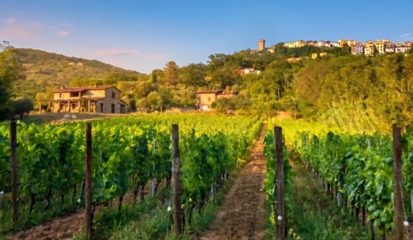Azienda Agricola Linero