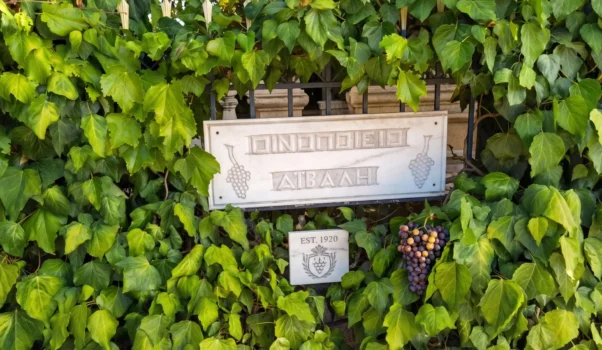 Domaine Aivalis