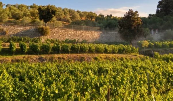 E Prie · Azienda Agricola San Nicola