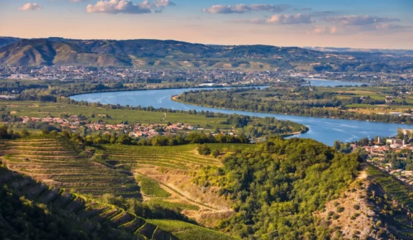 I grandi vini della Provenza