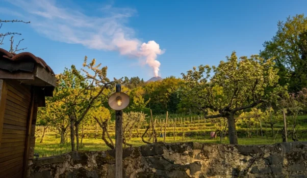 I Vini dell’Etna