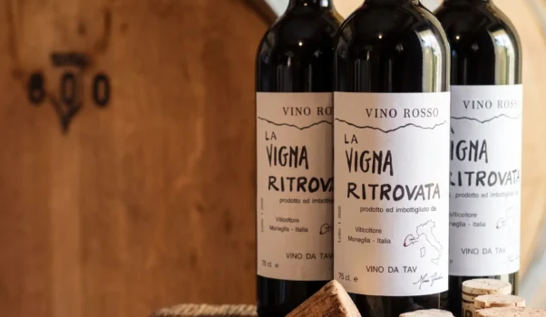 La vigna ritrovata