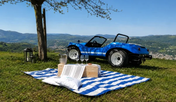 Root Winery: innovazione, arte e leggerezza nel cuore dei Castelli di Jesi
