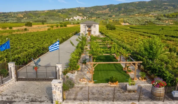 Viaggio in Nemea: Ieropoulos Winery