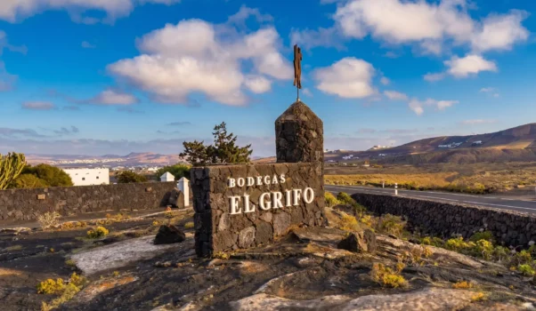 Visita alla Bodegas El Grifo