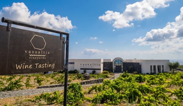 Visita alla Cantina Vassaltis