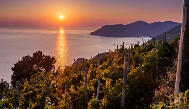 Agrivino Experiences
