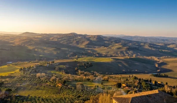 Anteprima del Vino Nobile di Montepulciano 2020