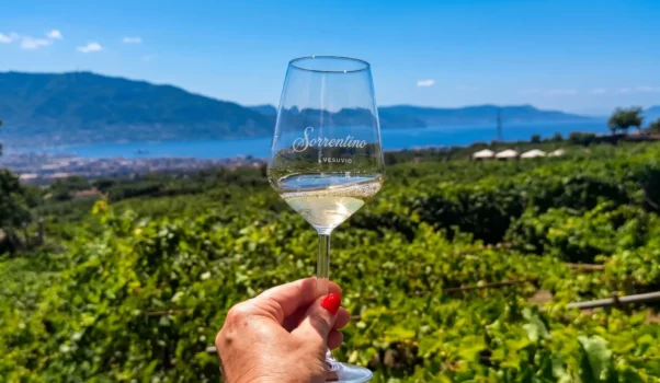 Sorrentino Vini