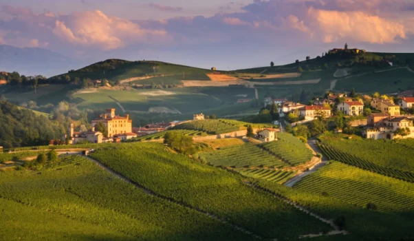 Azienda Agricola Brezza · Barolo