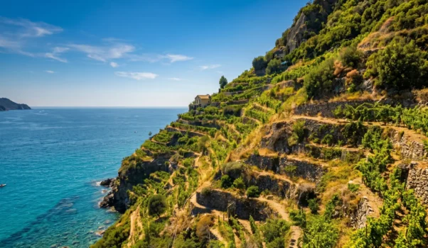 Azienda Possa a Riomaggiore