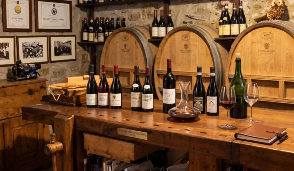 Azienda Rinaldi Barolo