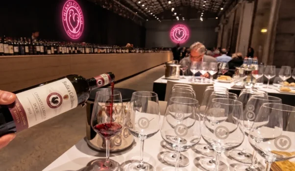 Chianti Classico Collection 2020