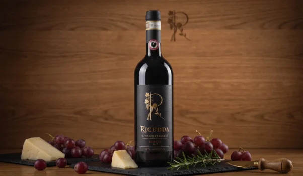 Chianti Classico Riserva 2017 La Ricudda