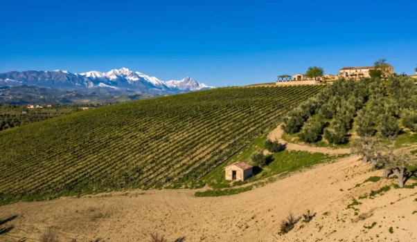 Fattoria Gaglierano