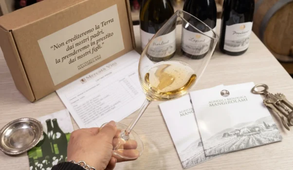 I FIVI wines raccontati da wineloversitaly
