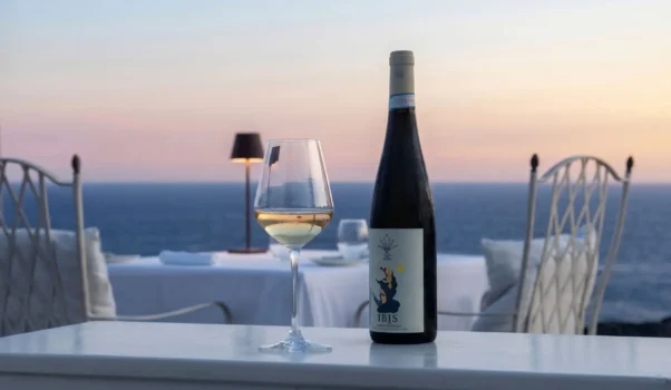 Ibis… vino bianco di Pithecusa