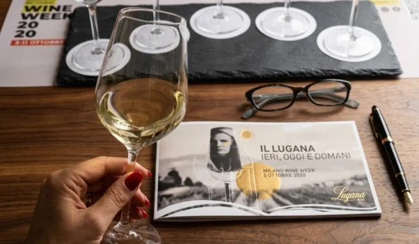 Il Lugana: ieri, oggi e domani