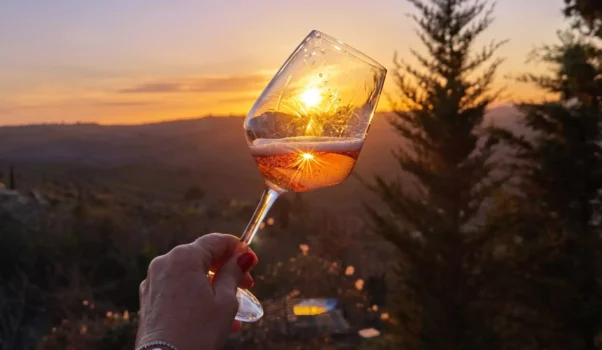 Il mondo di Francesco Mulinari: L’ Aietta a Montalcino