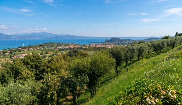 Lugana Stories: Cantina Franzosi