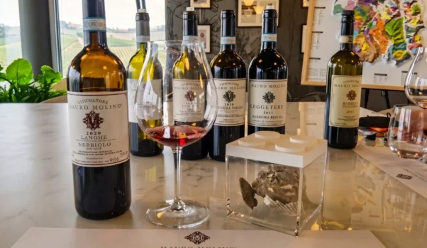 Nel cuore delle Langhe, Azienda Mauro Molino