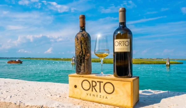 Miracolo… in laguna! Orto di Venezia