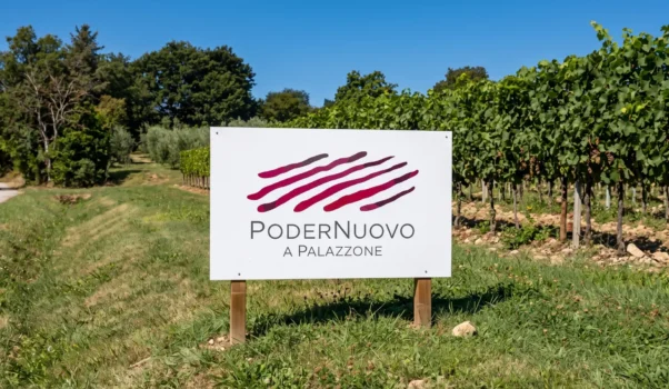 PoderNuovo a Palazzone