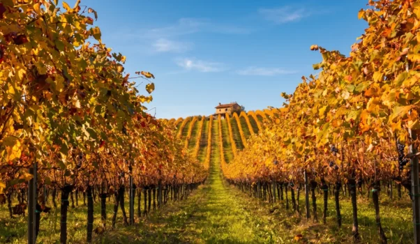 Storie di vino sulle rive di Conegliano: Masottina