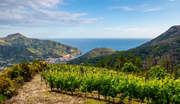 Terre di Levanto