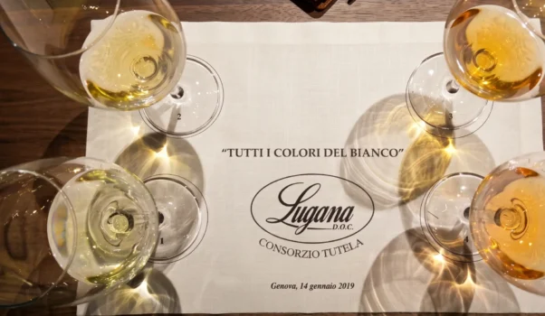Tutti i colori del bianco