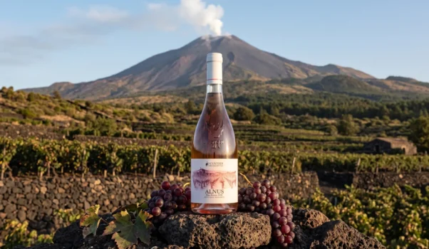 Alnus Etna Rosato DOC 2015 I Custodi delle Vigne dell’Etna