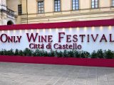 Only Wine Festival 2017