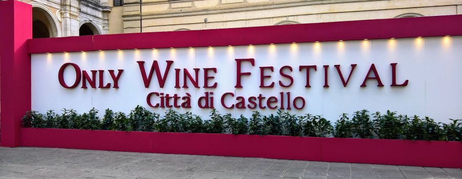 Only Wine Festival 2017