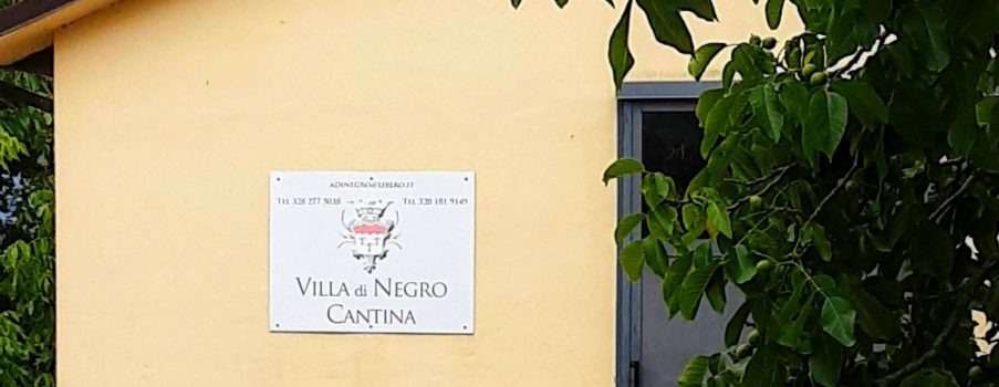 Villa di Negro in Lunigiana