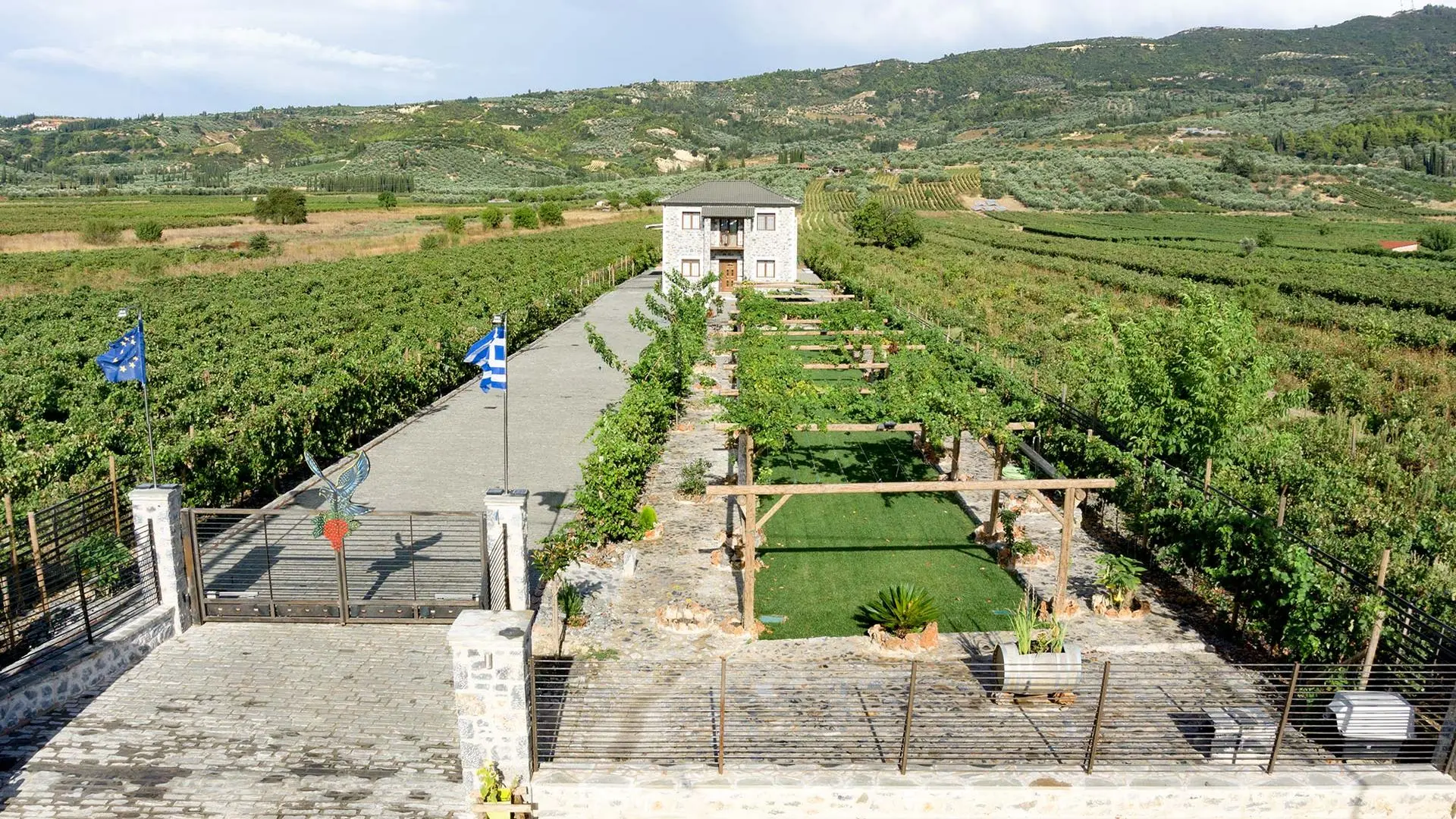 Viaggio in Nemea: Ieropoulos Winery