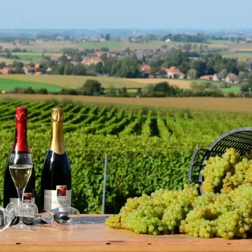 Triturus 2019 … la nouvelle frontiere: les vins belges