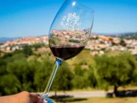 I vini di Tenuta Cavalier Pepe
