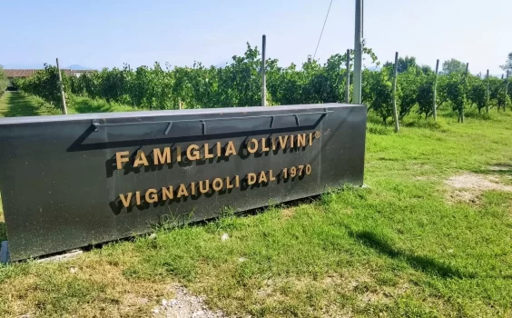 Famiglia Olivini: Lugana Stories