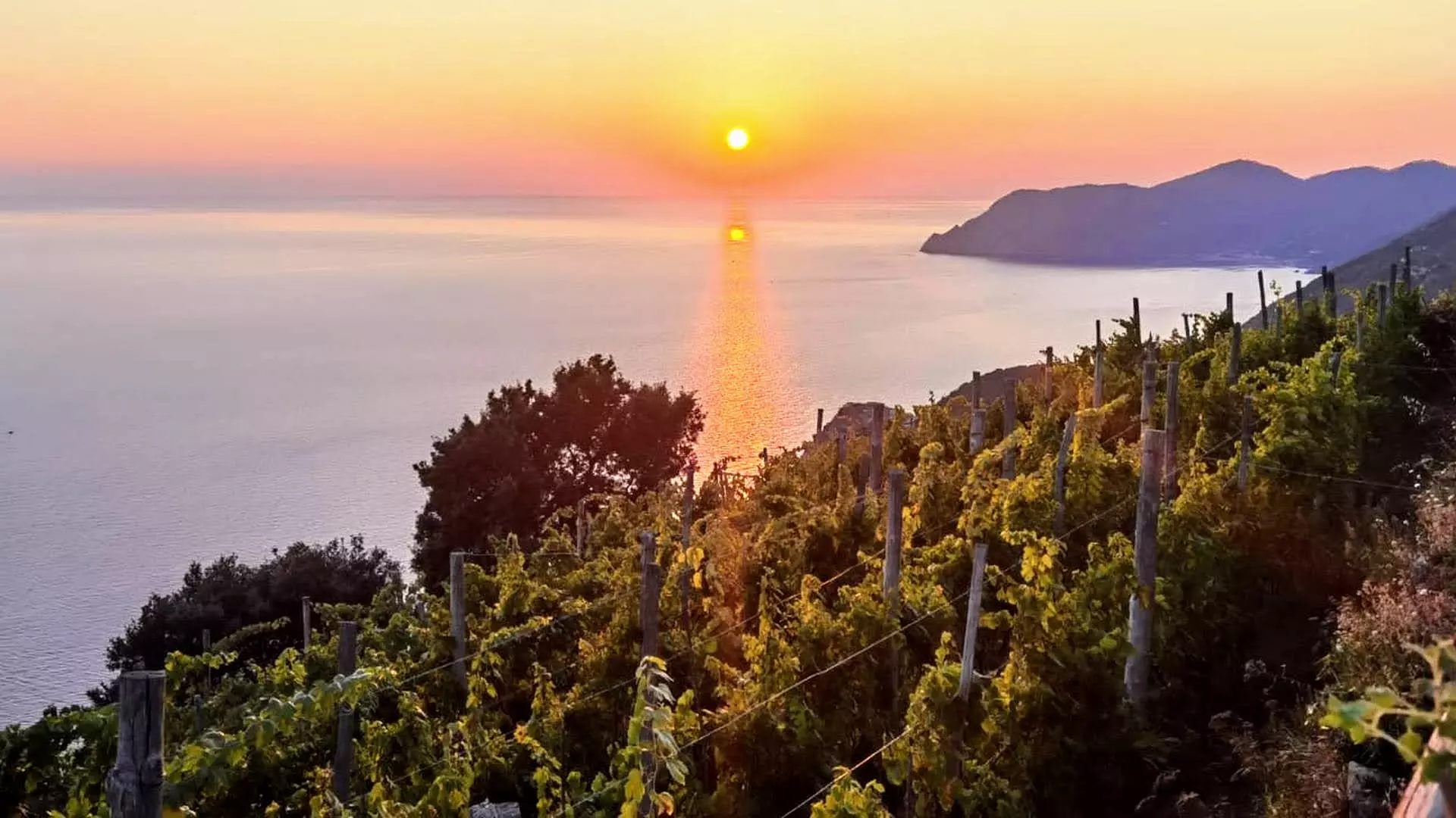 Agrivino: sul sentiero 586 da Volastra a Manarola con i vini di Luciano Capellini